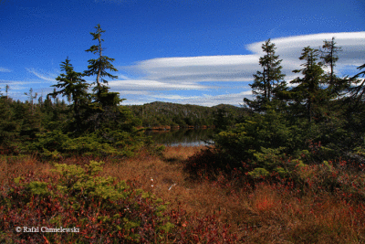 Photo-051.gif