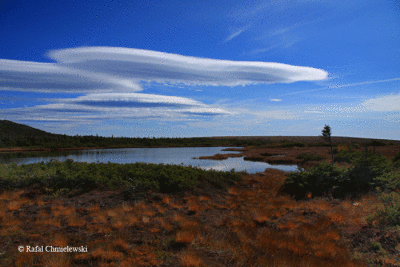 Photo-053.gif