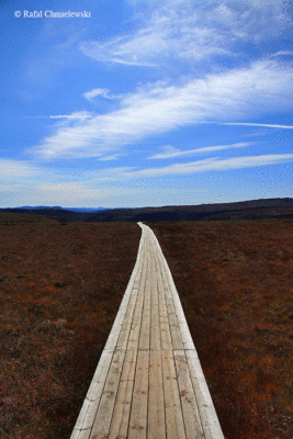 Photo-061.gif