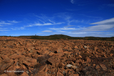 Photo-062.gif