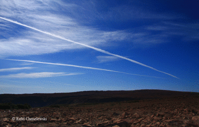 Photo-064.gif