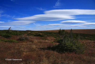 Photo-066.gif