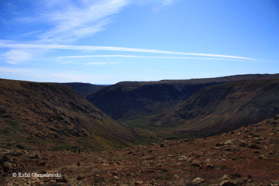 Photo-069.gif