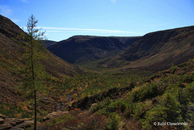 Photo-077.gif