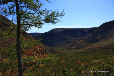 Photo-088.gif