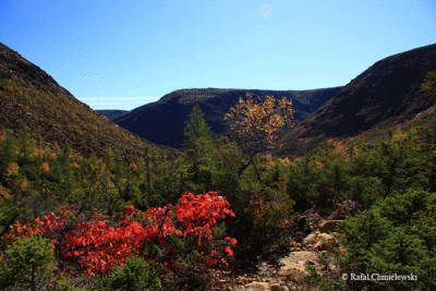 Photo-103.gif
