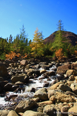 Photo-107.gif