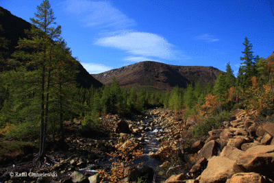 Photo-112.gif