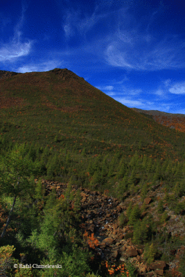 Photo-114.gif