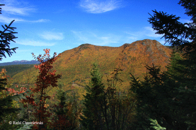 Photo-125.gif