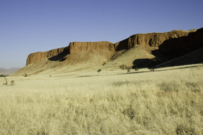 petrified dunes.jpg