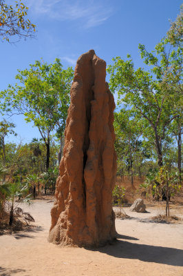 termite mount.jpg