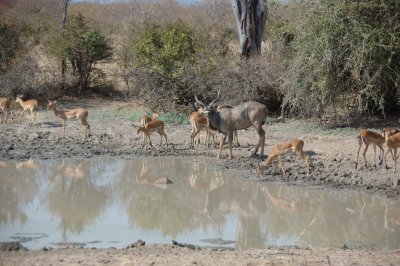 impala&kudu2.jpg