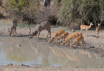 kudu&impala.jpg