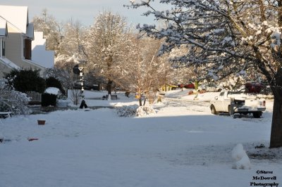 DSC_1385.JPG