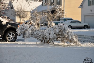 DSC_1396.JPG
