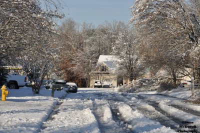 DSC_1407.JPG