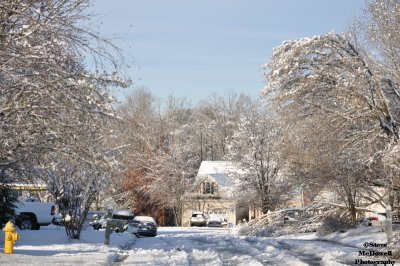 DSC_1408.JPG