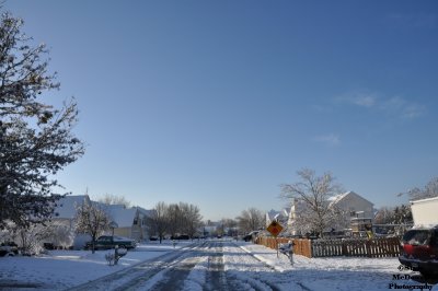 DSC_1409.JPG