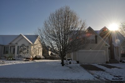 DSC_1415.JPG