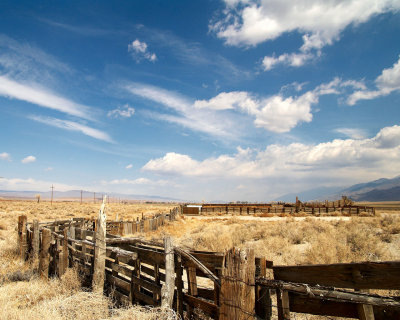 Pasture, Owens Valley