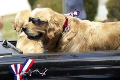 Neighborhood Memorial Day parade