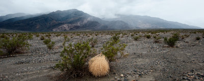 Deserts of the southwest