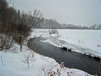 balckrivernearcraftsalbanyline