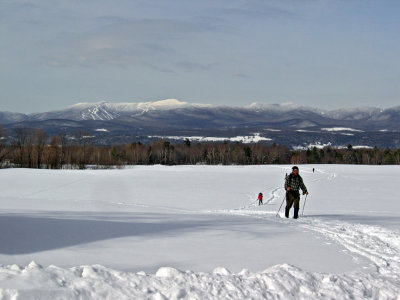 mansfieldmadonnaview