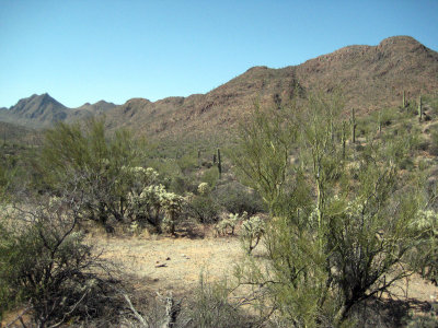 Tucson