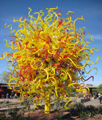 Desert Botanical Garden - Chihuli: The Nature of Glass