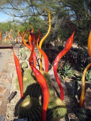 Desert Botanical Garden - Chihuli: The Nature of Glass