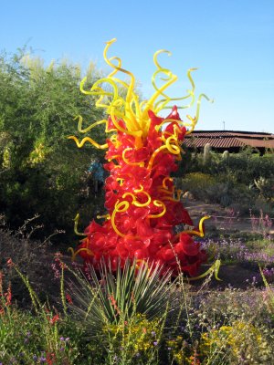 Desert Botanical Garden - Chihuli: The Nature of Glass