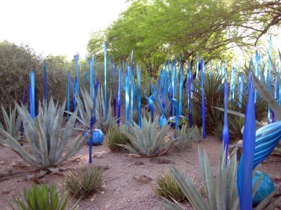 Desert Botanical Garden - Chihuli: The Nature of Glass