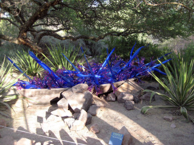 Desert Botanical Garden - Chihuli: The Nature of Glass