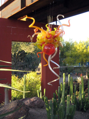 Desert Botanical Garden - Chihuli: The Nature of Glass
