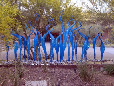 Desert Botanical Garden - Chihuli: The Nature of Glass