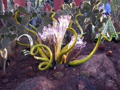 Desert Botanical Garden - Chihuli: The Nature of Glass