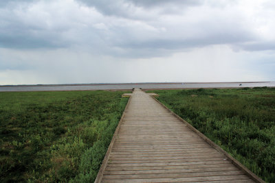 The Sea