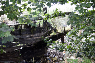 Sad Old Barge
