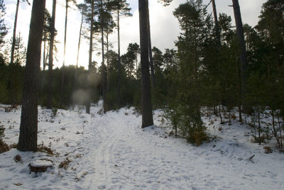 Valsain-Dic-2008-014.jpg