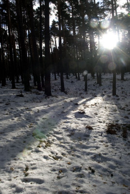 Valsain-Dic-2008-029.jpg