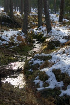 Valsain-Dic-2008-039.jpg