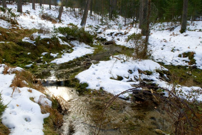 Valsain-Dic-2008-064.jpg
