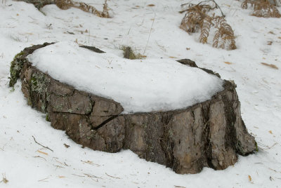 Valsain-Dic-2008-084.jpg