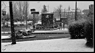 Pozuelo nieve -enero 2009-091.jpg