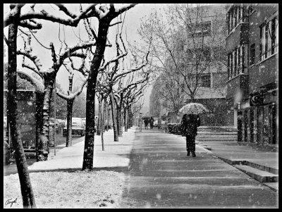 Pozuelo nieve -enero 2009-100.jpg