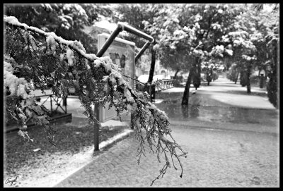 Pozuelo nieve -enero 2009-112.jpg