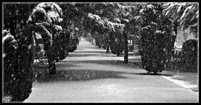 Pozuelo nieve -enero 2009-113.jpg