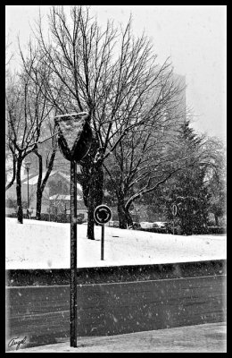 Pozuelo nieve -enero 2009-127.jpg